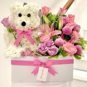 Gift Articles/Toys